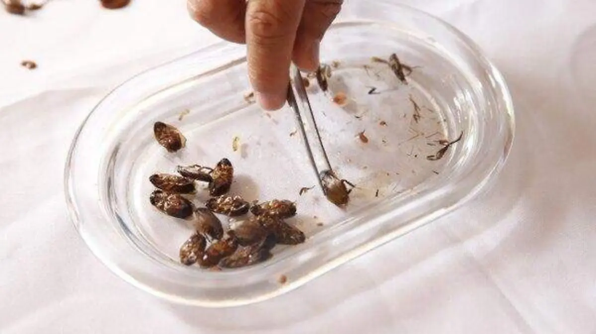 KNNKCVKH5VAZPNG2R3AVU736E4