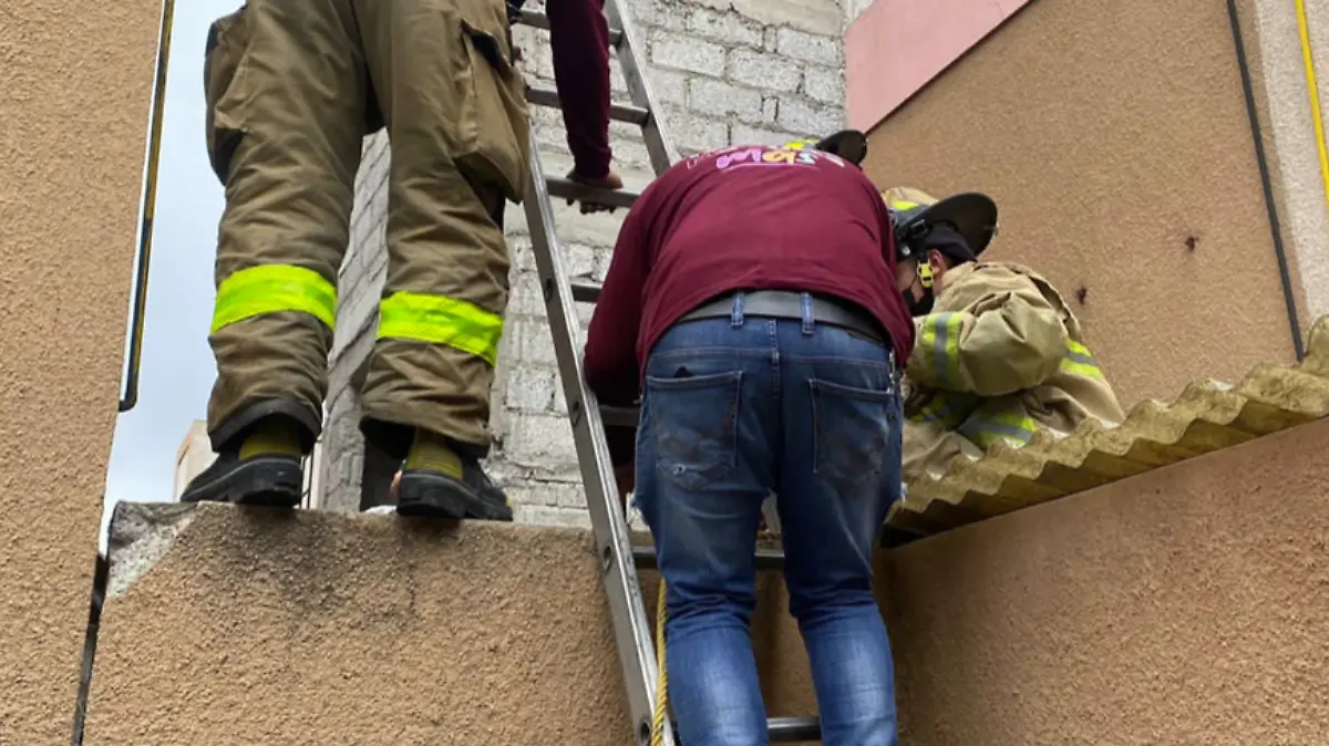 Captura de pantalla 2022-07-27 a la(s) 10.34.59