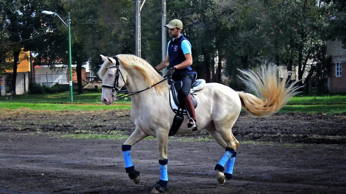 Caballo 3