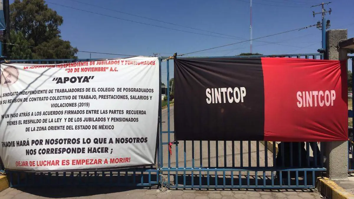 WhatsApp Image 2019-04-13 at 21.24.00