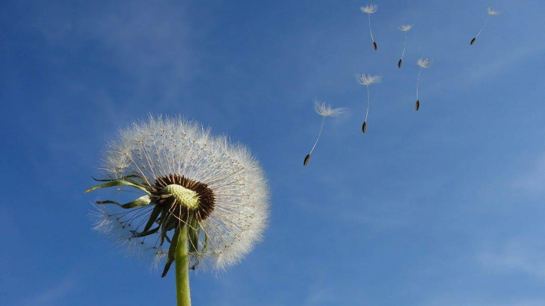 Viento2