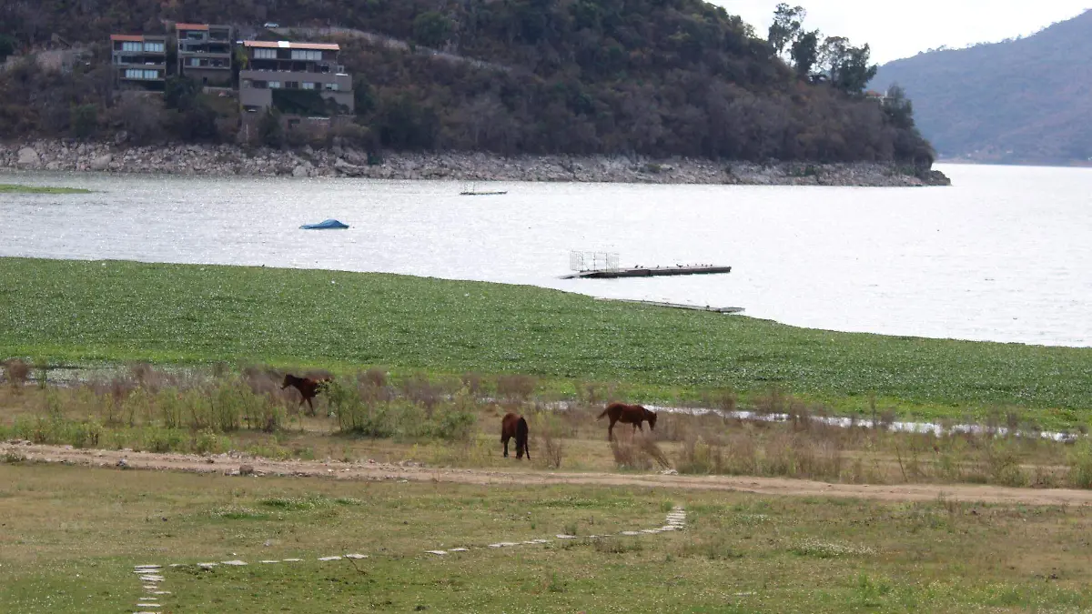 20220213174836_IMG_0448