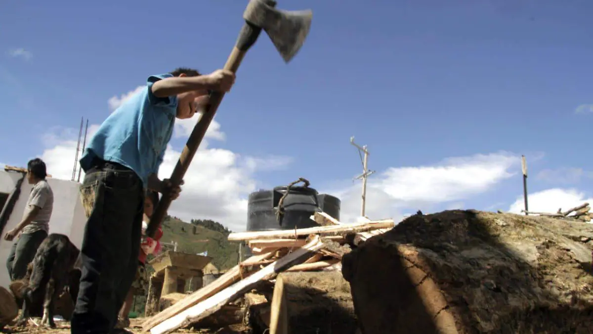 50401051_772883696402613_9221338868056326144_n