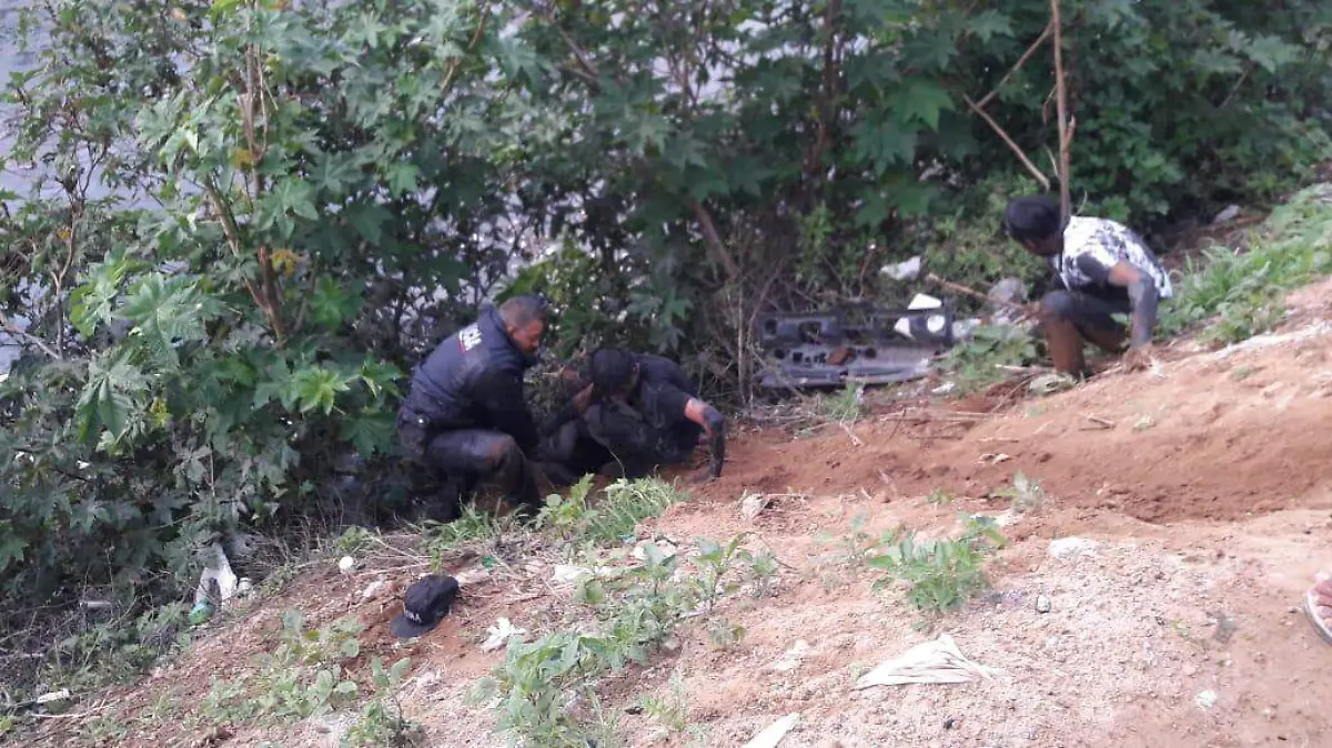 WhatsApp Image 2019-07-23 at 17.20.48