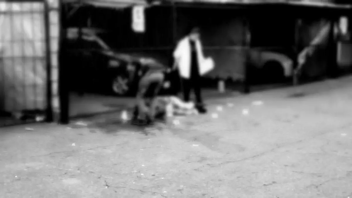 e291fe65-1055-43b2-8a18-45909c9e9211