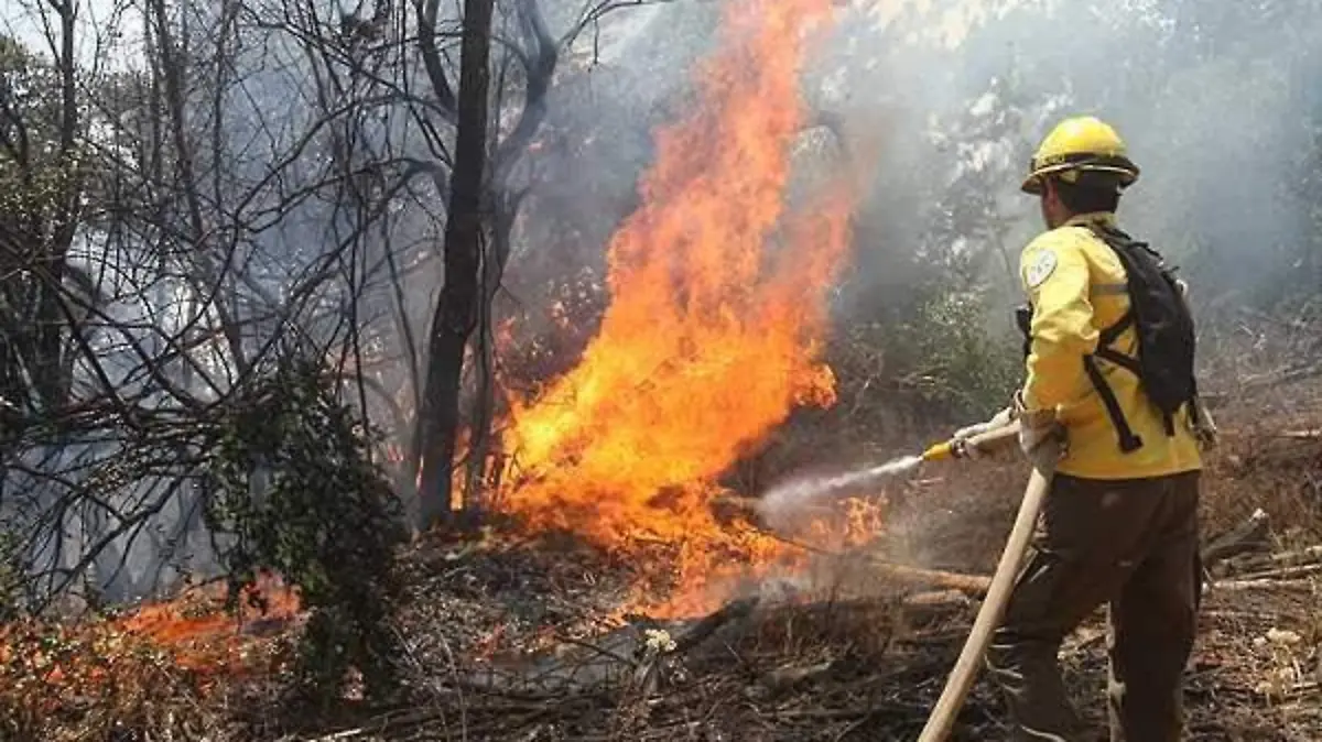 incendio-forestal-brigadista-2