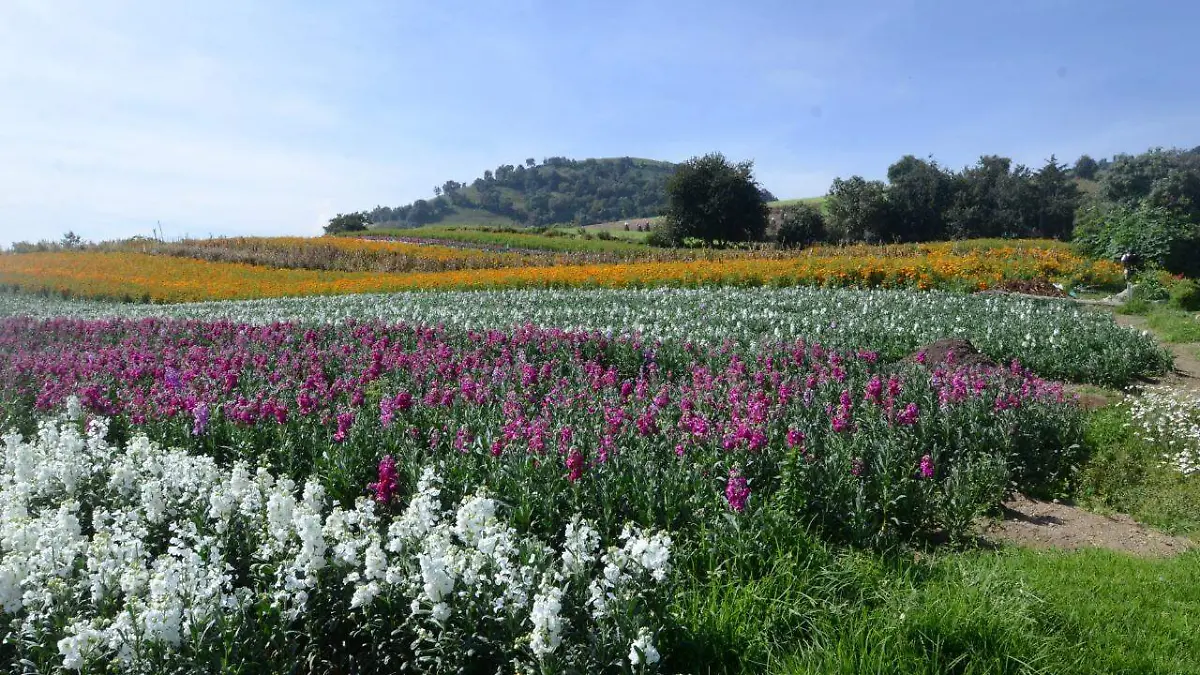 1b6782a1-8e90-4ad5-b4df-89b0d53484f9