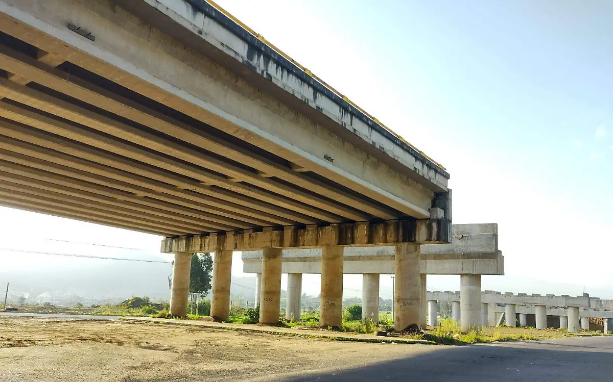 WhatsApp Image 2021-07-25 at 11.52.55