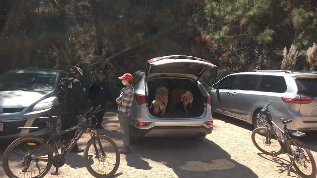 Cortesía robo Monte Alto