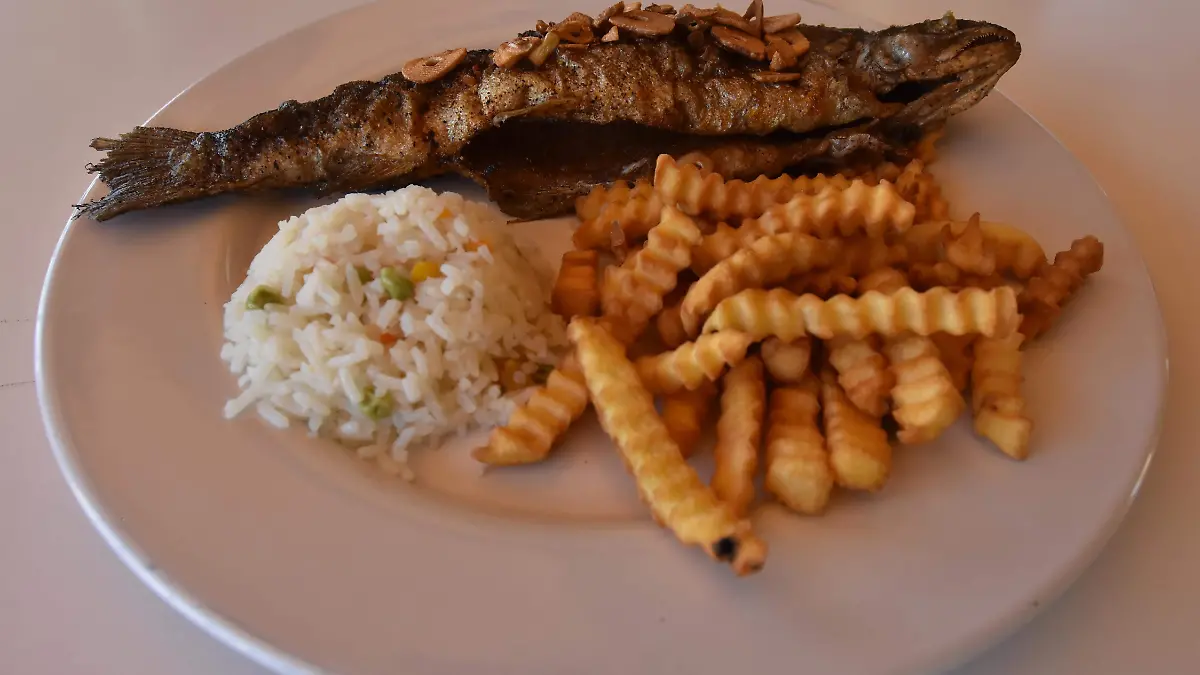 PUBLI_LOS_COCOS_MALINALLI_DCV (10)