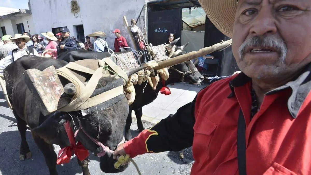 255ba671-04a0-497b-a836-9c9c35632d9e