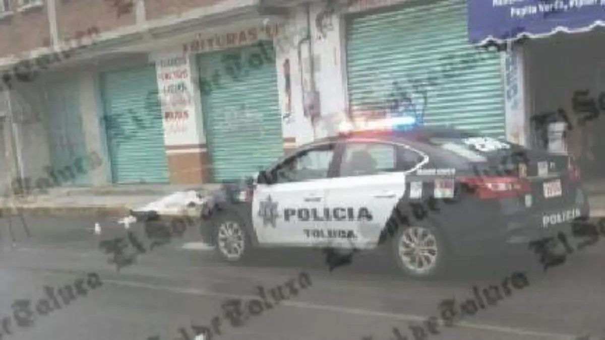 d33363d5-33c3-4812-806b-7cfff9435496