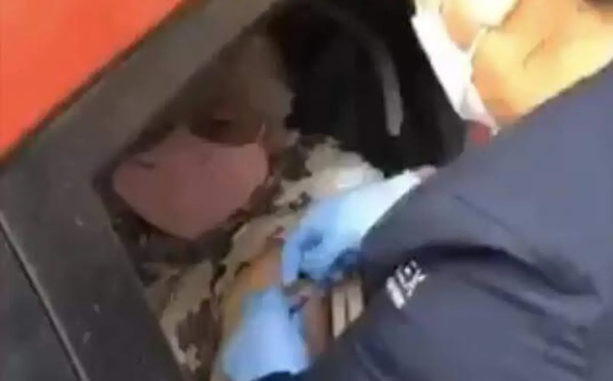 supuesta vacunación falsa 