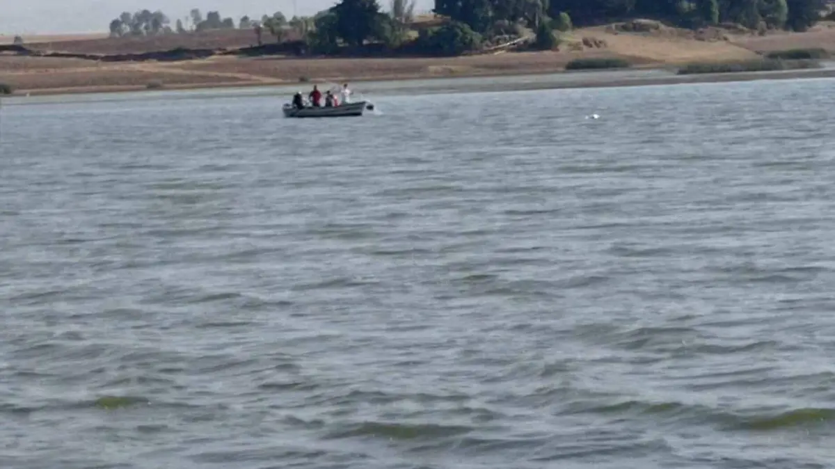 Image 2022-03-28 at 10.40.34