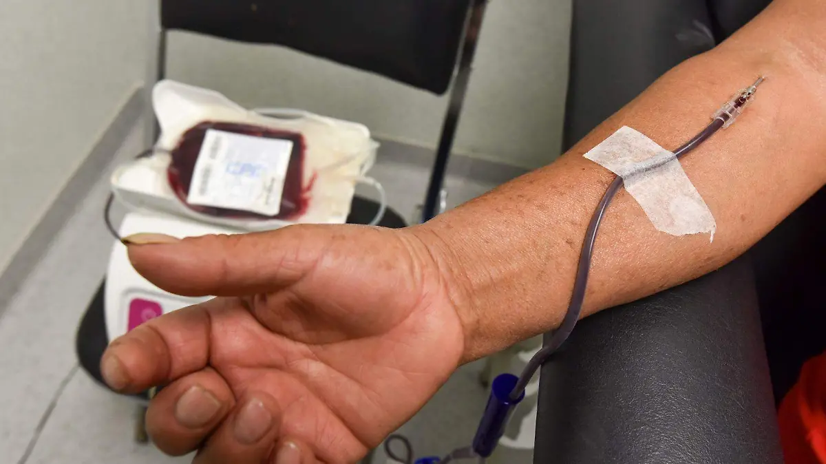 donación de sangre