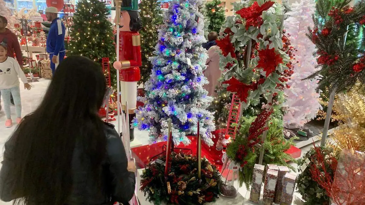 Artículos Navideños 3