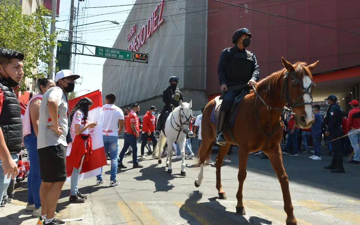 WhatsApp Image 2022-03-13 at 11.47.52