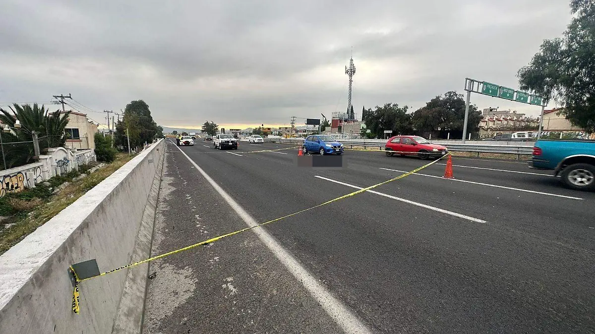 WhatsApp Image 2023-07-06 at 08.28.27