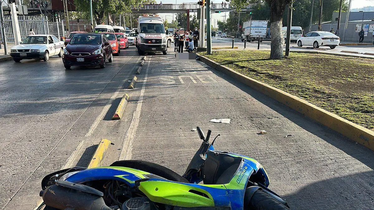 WhatsApp Image 2023-06-12 at 09.14.20