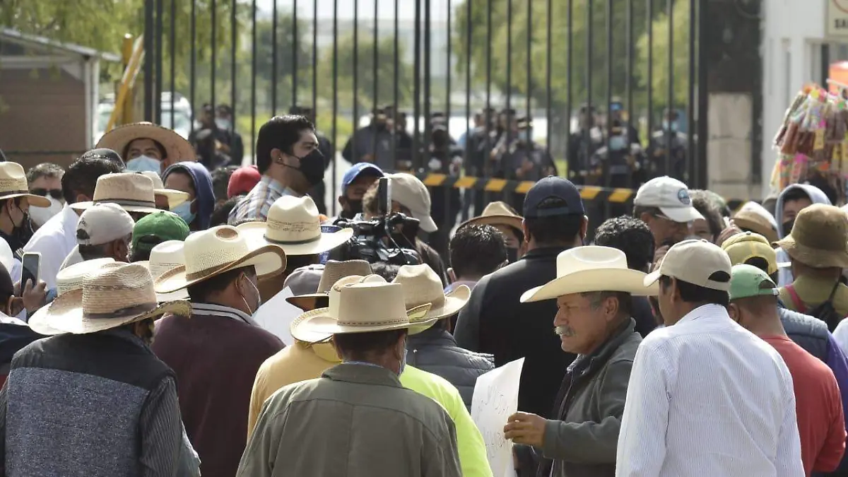 campesinos bbionatur 1