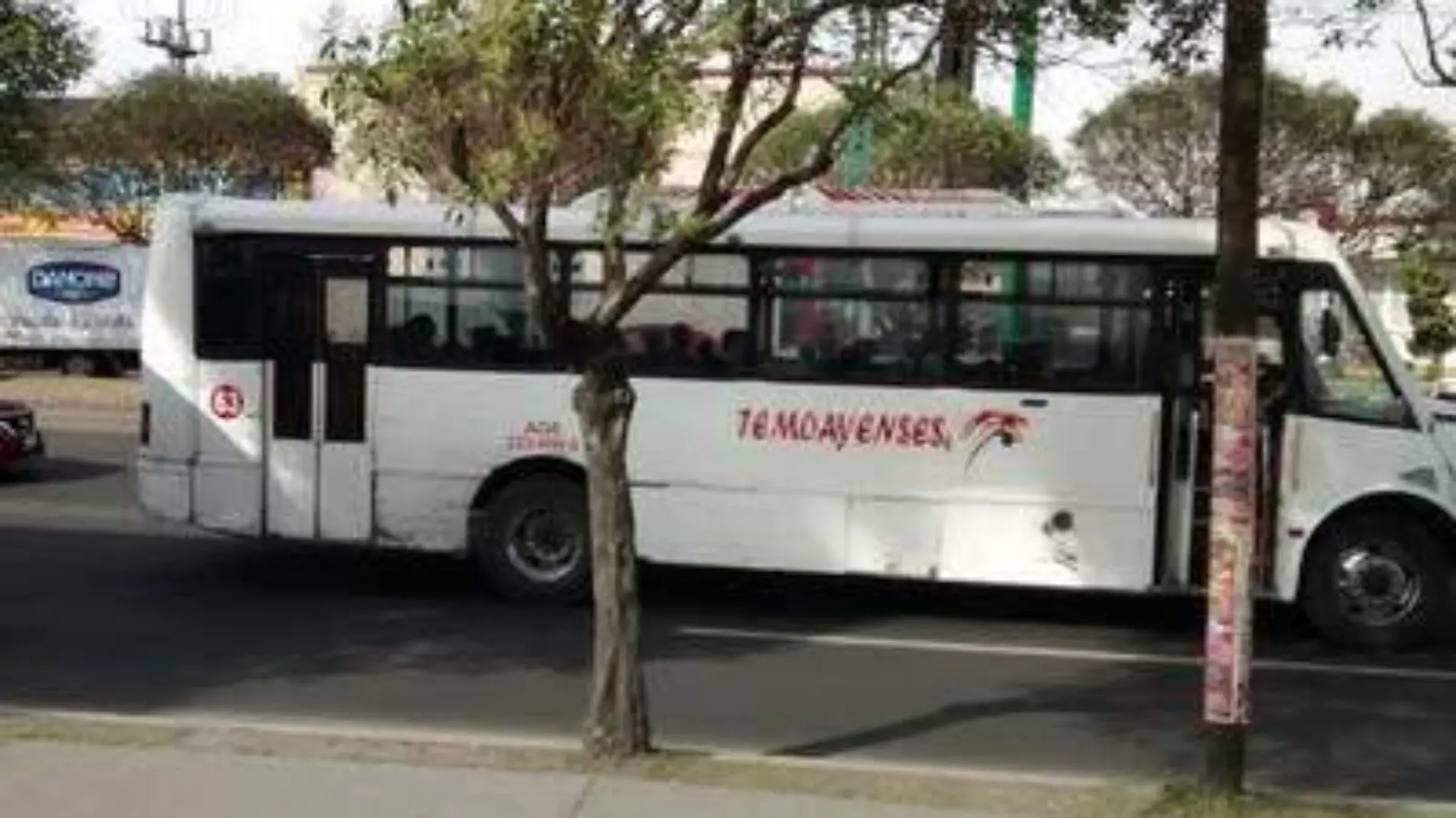 Camión-Temoayense-Toluca-pasajeros