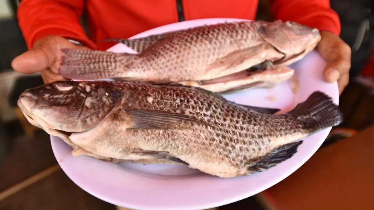 5d5bb538-6151-4f55-8de3-3e3de2547ba3