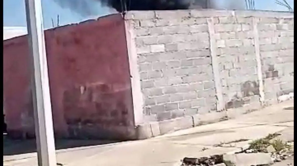 Image 2021-07-04 at 11.59.59