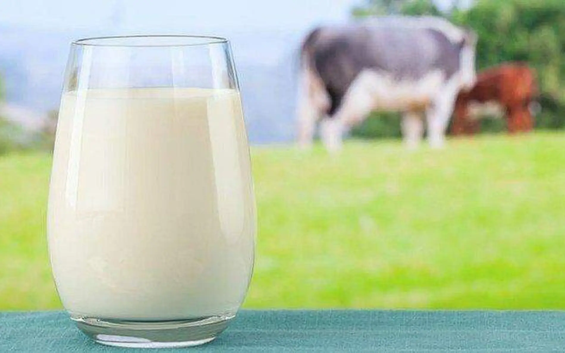 leche-de-vaca-razones-para--jpg_700x0