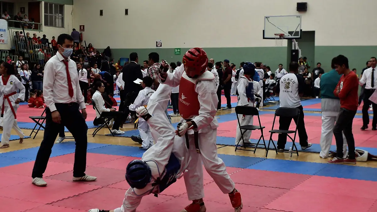 Taekwondo1