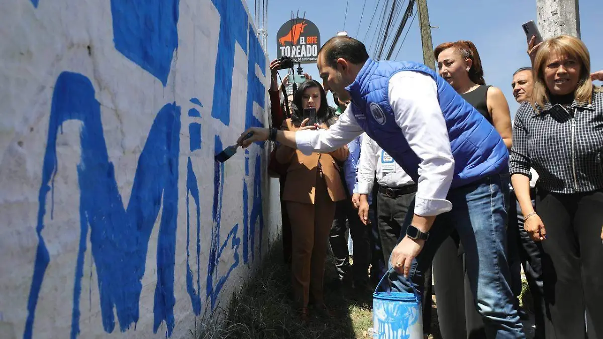 panistas tollocan