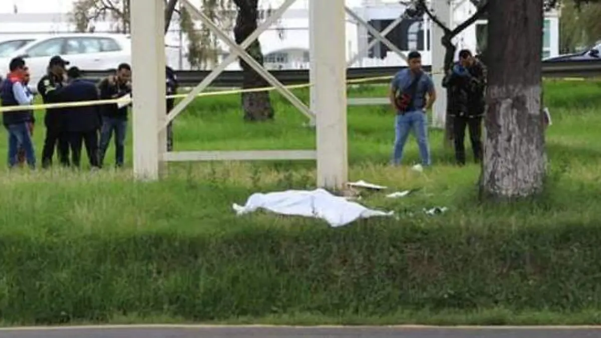 ededf06c-5356-4a0a-968b-11f6a210b661