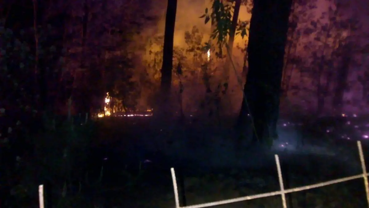 Image 2020-04-19 at 2.17.11 PM