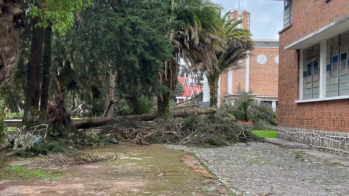 el seminario