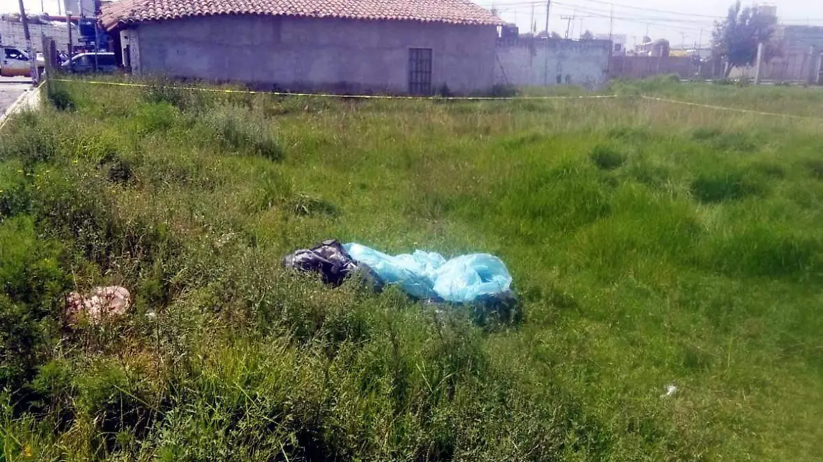 03d6253b-0187-4c31-bda4-4b971e0cf86d