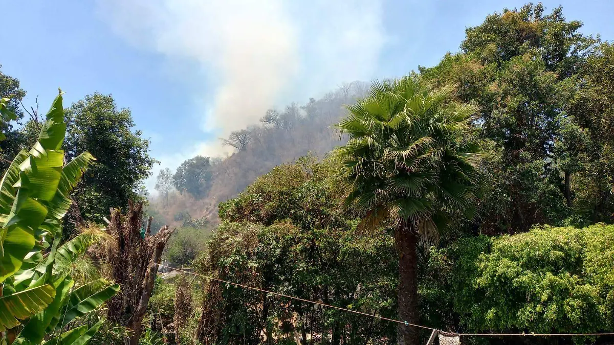 343956848_918931309161623_2122840050789598744_n