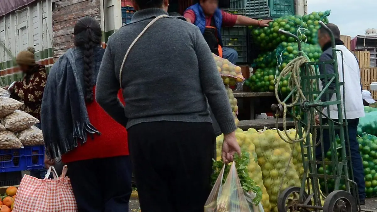 De todas las bolsas Ms02 (1)