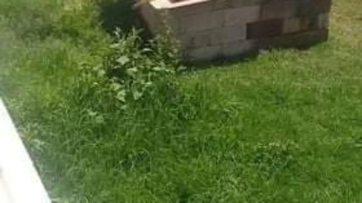Vecinos2