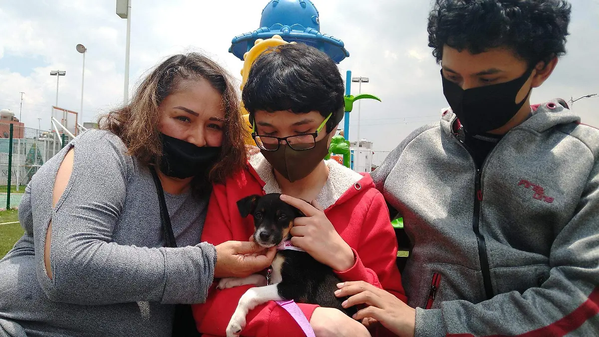 adopción