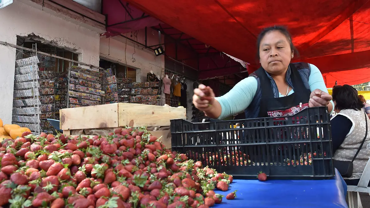 UN DIA SIN MUJERES 02