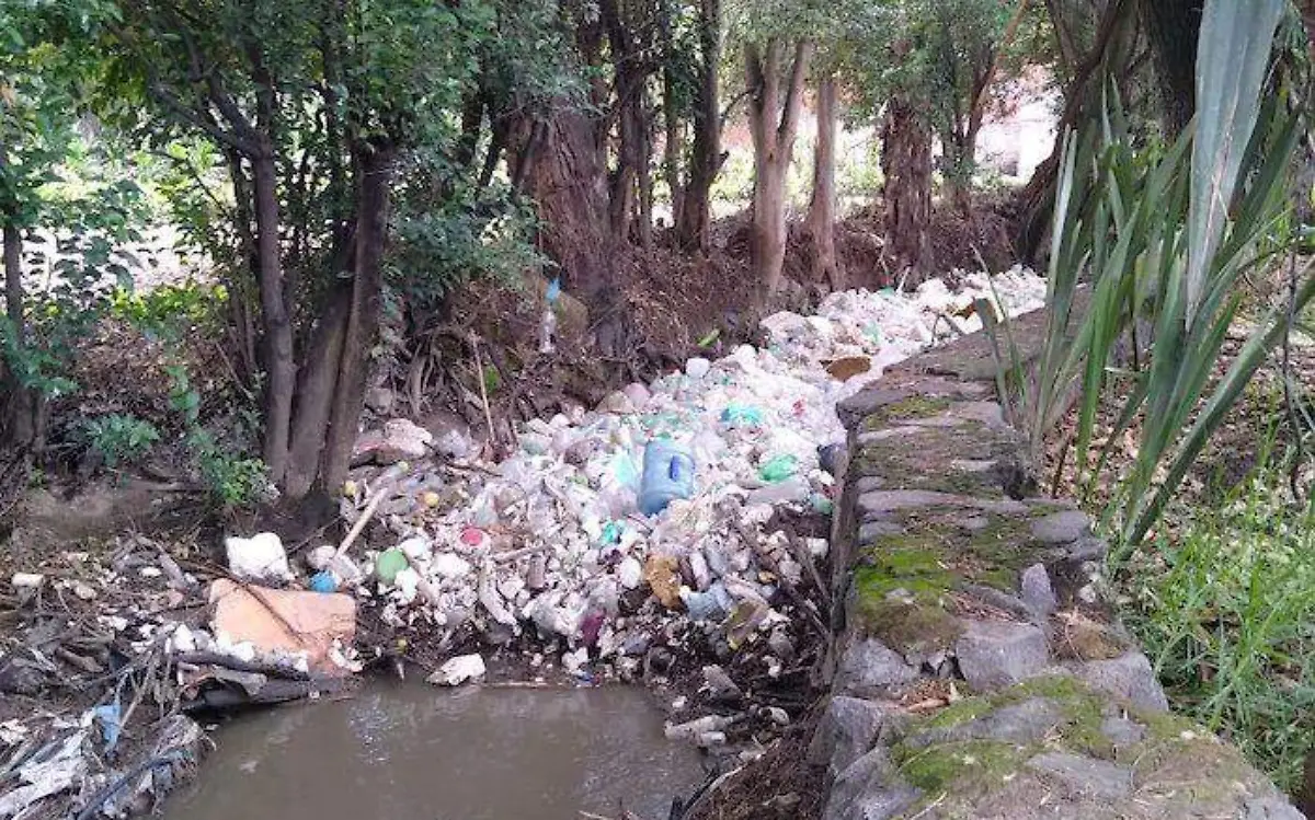 arroyo-basura