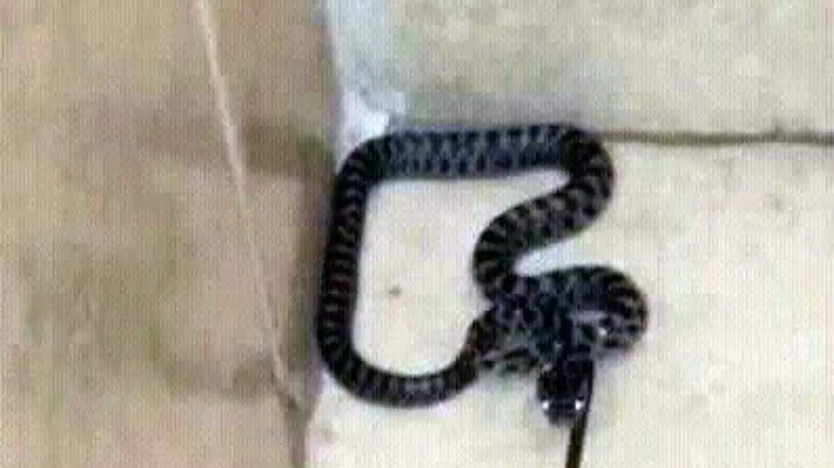 8e2c4e8c-2037-4626-9079-7f42c35faa15