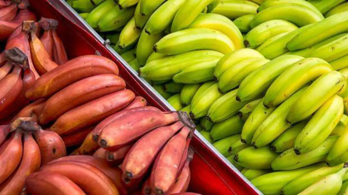 platanos-rojos-canarias-k4IH--620x349@abc