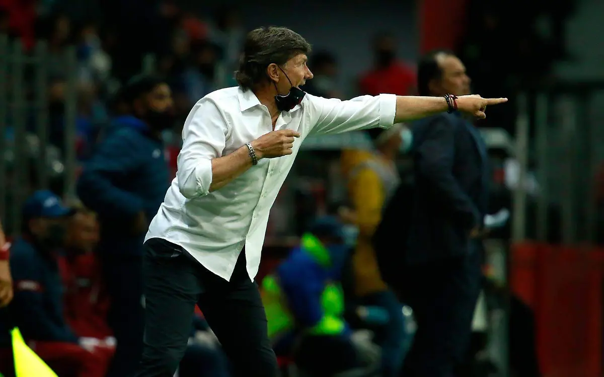 WhatsApp Image 2021-05-13 at 11.31.17