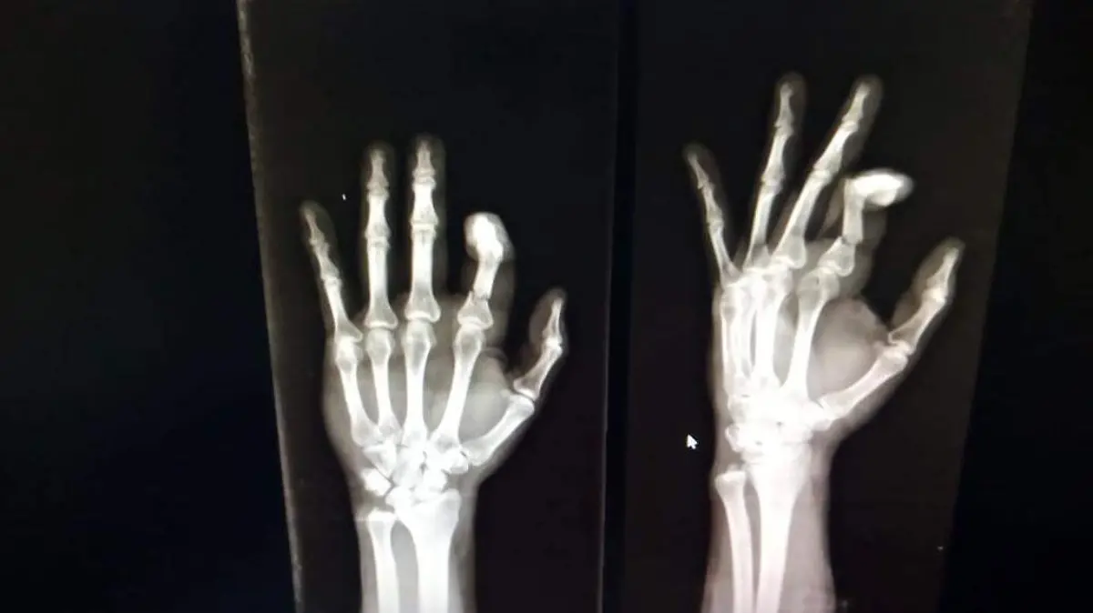 WhatsApp Image 2021-02-15 at 12.27.19