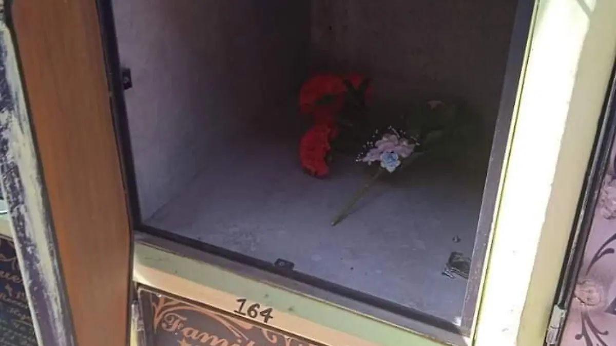 FB_IMG_1667573814639