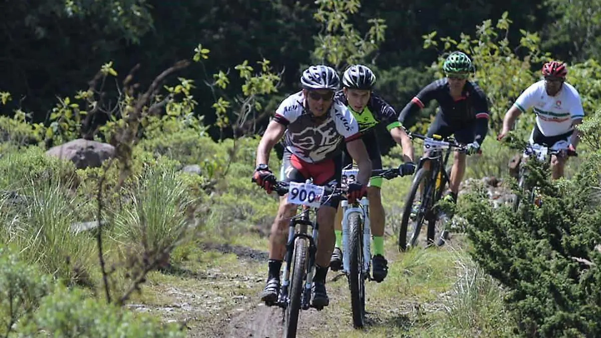 MTB1