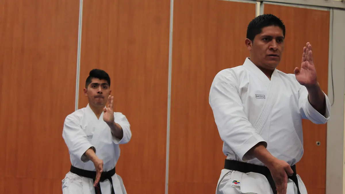 Karate1