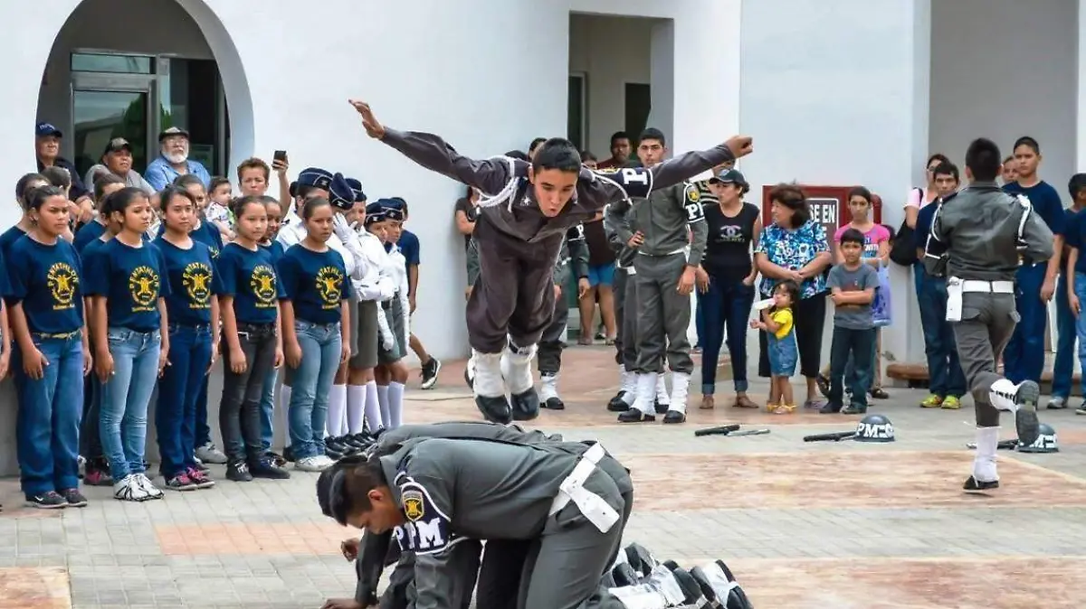 WhatsApp Image 2020-11-09 at 09.30.36