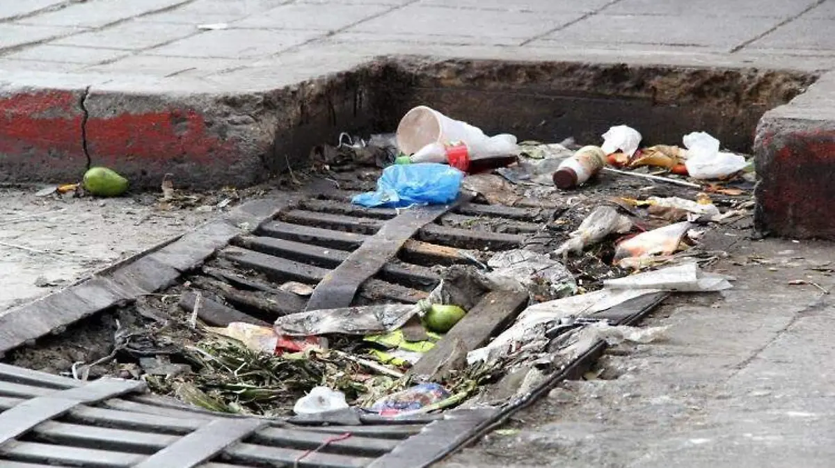 basura (1)