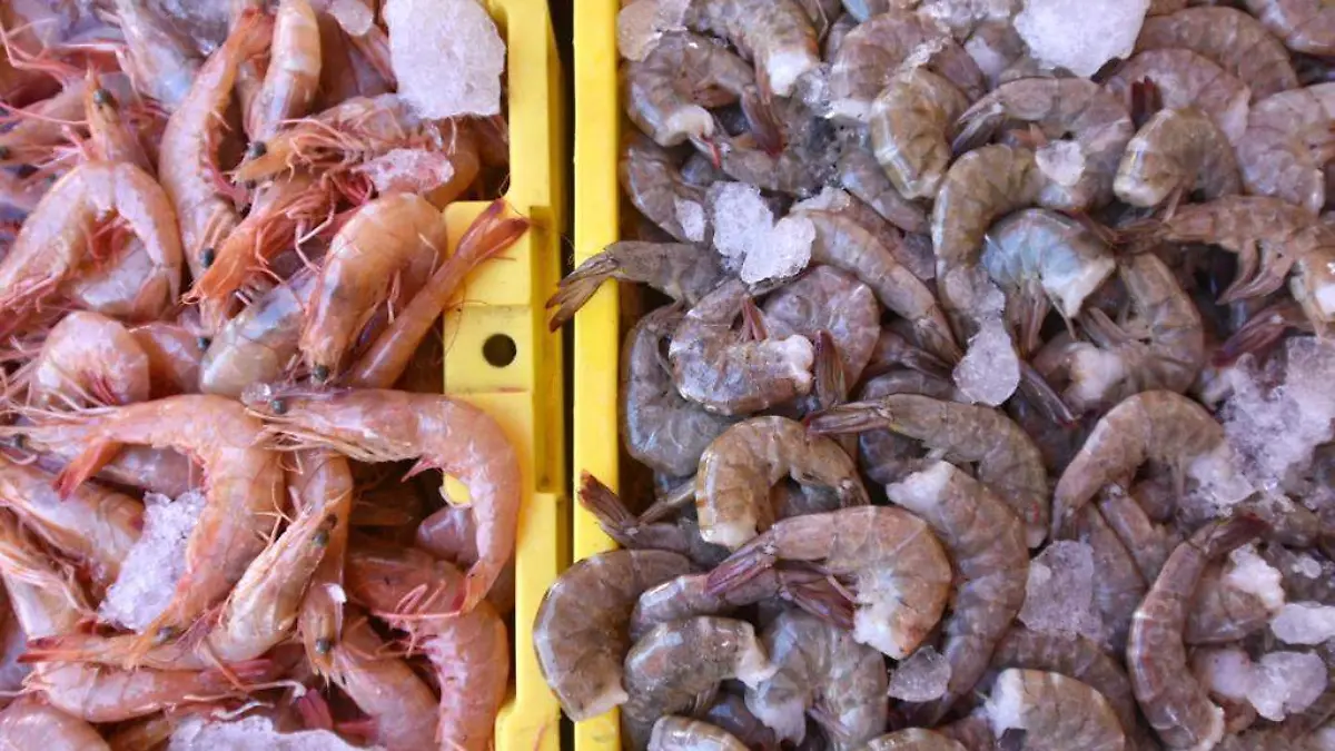 d6099298-9c2a-4c42-a15b-d055df40f724